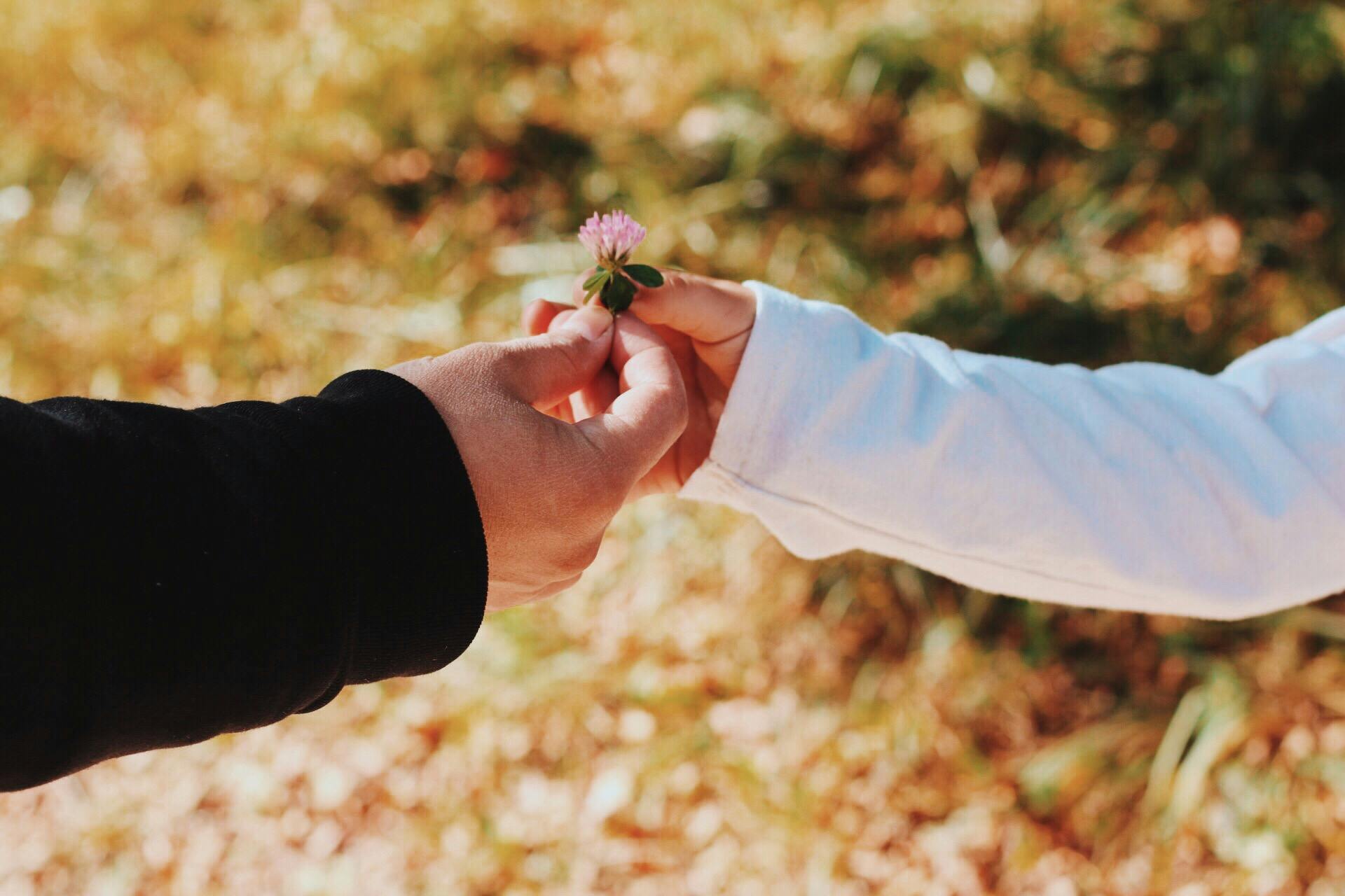 Mirror Wills & Estate Planning for Couples in Ontario